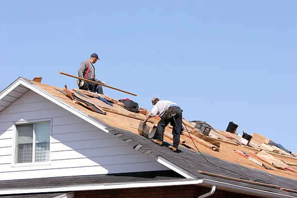 Roof Coating Services in Sisco Heights, WA